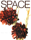 Space December 2006